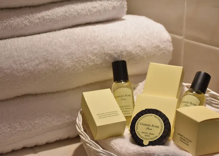 Anne D'anjou, The Originals Collection Hotel Saumur